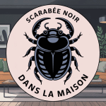 Scarabee noir dans la maison sur canapé dans salon moderne
